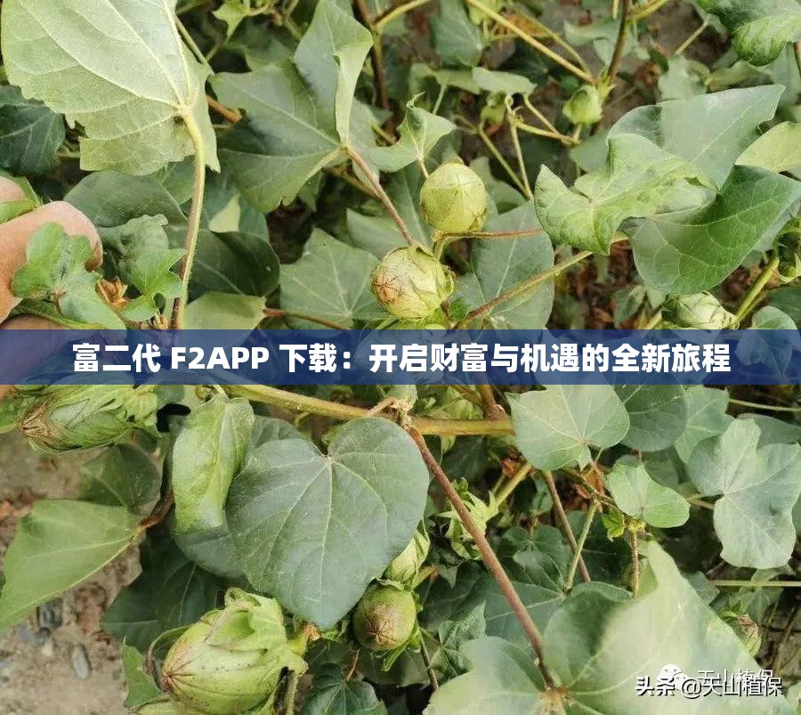 富二代 F2APP 下载：开启财富与机遇的全新旅程